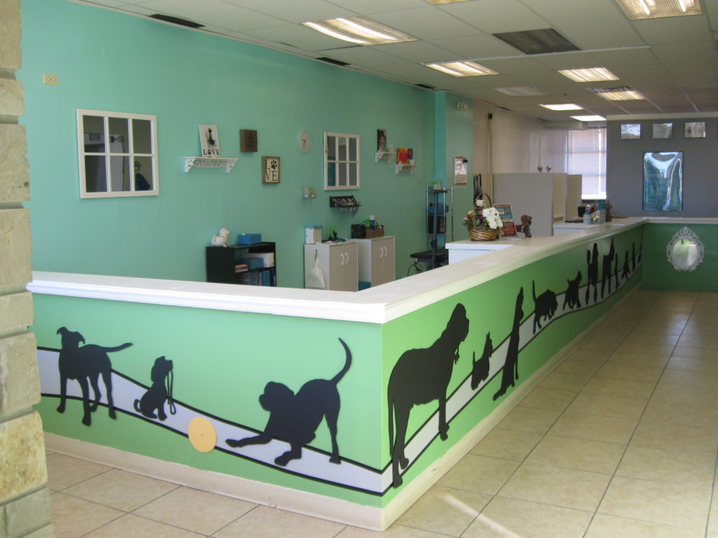green dog salon