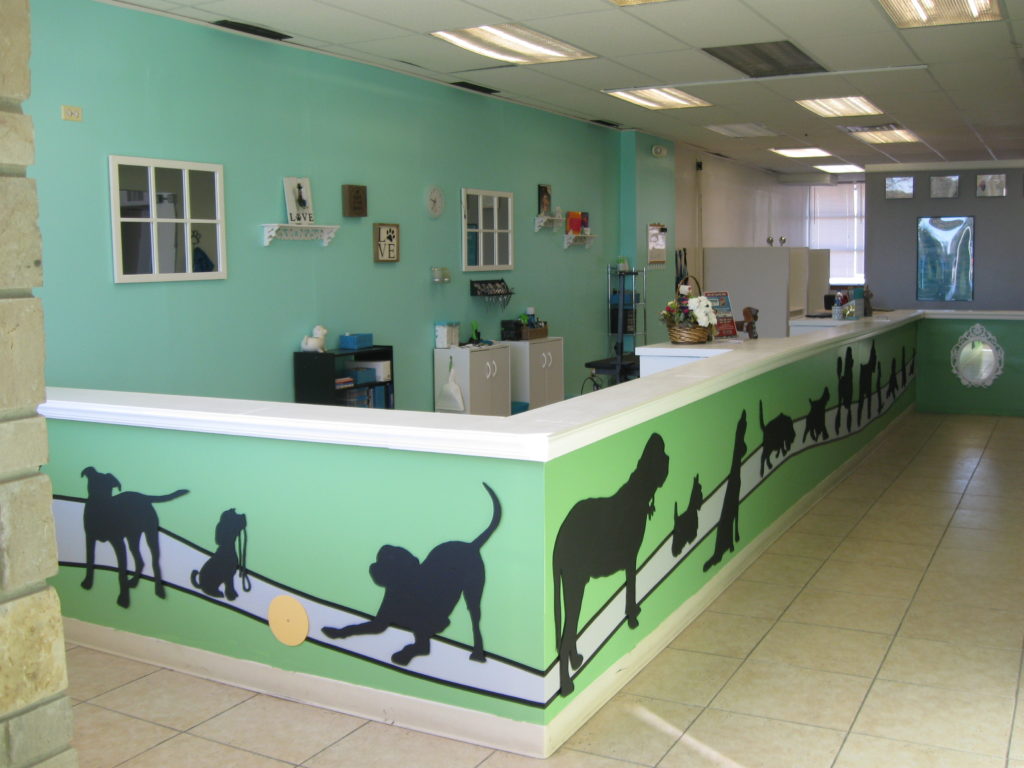 puppy scrubs grooming salon